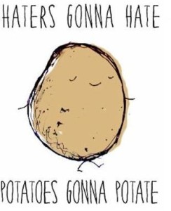 haters gonna hate potatoes gonna potate